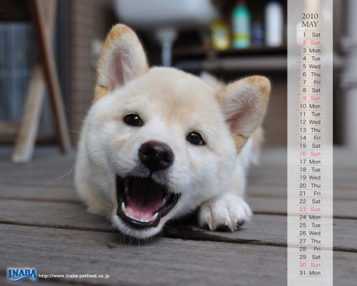 313136 (a): :1280x1024